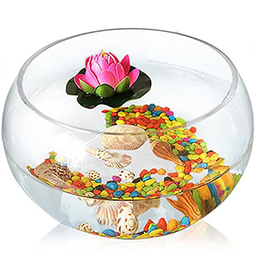 Aquarium Runder Zylinder Runde Goldfisch-Tank Ökologische Kreativität Glas-Fisch-Tank Großer Schildkröten-Tank Hydroponic Tankvase Aquarien (Color, Size : 30CM Waist Diameter) von HASMI