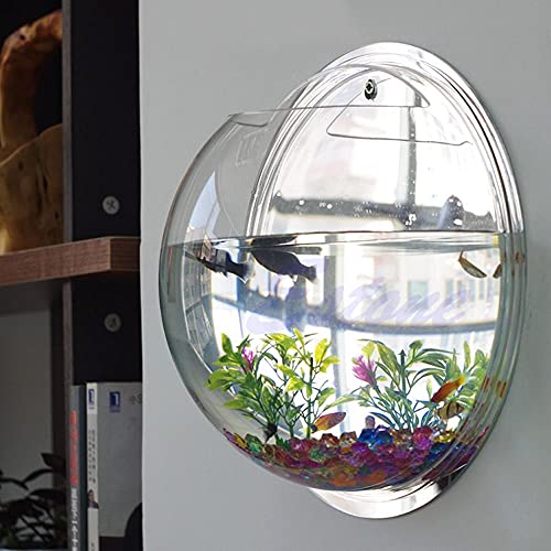 Aquarium Wandbehang Fischschüssel Acryl Wandmontierter Pflanztopf Fisch Tank Dekoration Pflanzer Mini Glas Oblat Fischschüssel Kit Aquarien (Color : Wit, Size : Large) von HASMI