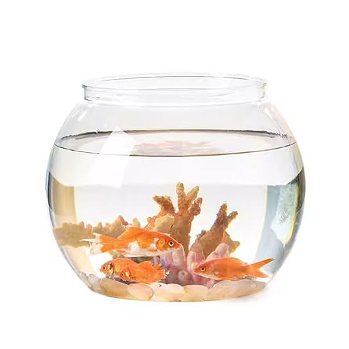 Desktop-Aquarium Aquarium Schüssel Betta Vase Goldfisch Aquarium Blase Pflanzer Runde klare Blumendekorationen Behälter Fischschalen Dekor Kunststoff Dekor Fischschale von HASMI