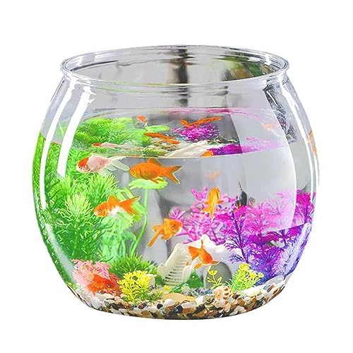 Desktop-Aquarium Aquariumschale, klein, bruchsicher, für Betta-Fische, dekorativer Fischbehälter für Goldfische, Betta-Fische Dekor Fischschale von HASMI