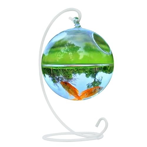 Desktop-Aquarium Kreatives transparentes kugelförmiges Aquarium, kleine Tischplatte aus Glas, runde Form, hängende Glas-Aquarium-Fischschale Dekor Fischschale von HASMI