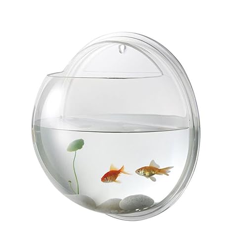 Desktop-Aquarium Transparentes Acryl-Aquarium, Wandmontage, Fischschale, Goldfisch-Aquarium, hängende Aquarium-Dekoration Dekor Fischschale von HASMI