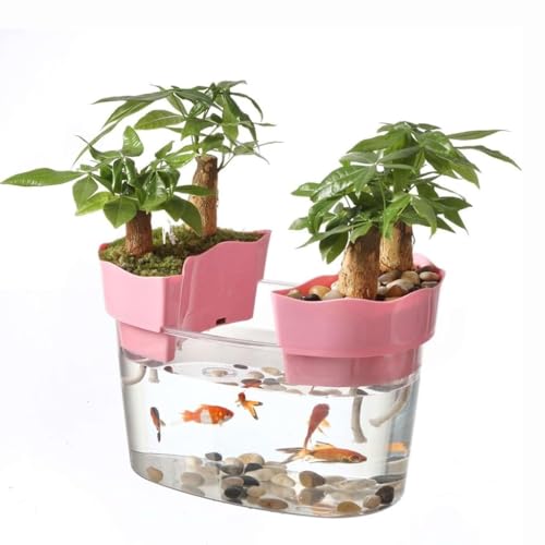 HASMI Desktop Fish Tank Fish Tank Small Desktop Creative Home Living Room Turtle Goldfish Tank Water Fish Tank Landscaping Pot Plants Decor Fish Bowl von HASMI