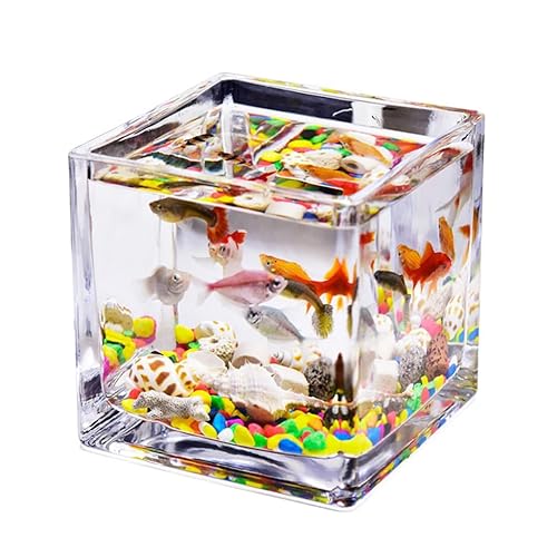 Pecera de escritorio Büro-Landschaftsbau, kleines Aquarium, Eimer, Aquarium, Glas, quadratischer Zylinder, Desktop, kleines Aquarium, Schreibtisch, Bücherregal, Aquarium Decoración Pecera von HASMI