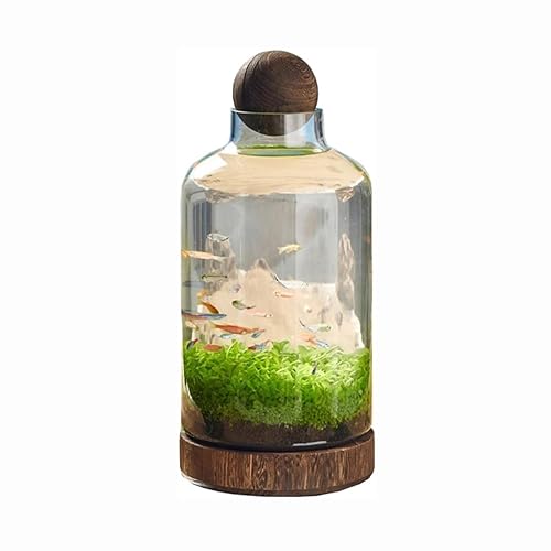 Pecera de escritorio Kreativer Wassertank, Hydrokulturpflanze, Aquarium, Wasser, Grassamen, Mikrolandschaft, ökologische Flasche, DIY ökologisches Glas-Aquarium Decoración Pecera Pecera de escritorio Kreativer Wassertank, Hydrokulturpflanze, Aquarium, Wasser, Grassamen, Mikrolandschaft, ökologische Flasche, DIY ökologisches Glas-Aquarium Decoración Pecera von HASMI