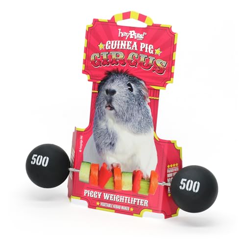 HAYPIGS Meerschweinchen Zubehoer und Spielzeug - Piggy Weightlifter Futterspieß im Zirkus-Look – Meerschweinchen Spielzeug – Kaninchen Spielzeug - Hamster Spielzeug – Ratten Spielzeug von HAYPIGS