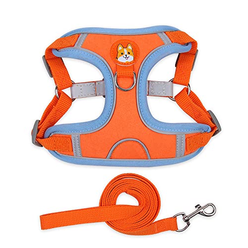 HAZARA Outdoor-Hundebrustgeschirr, reflektierende Streifen Jacke Leine Träger, verstellbare Hundebrustgeschirr, Haustier Wildleder weich reflektierende Streifen-orange||L HAZARA Outdoor-Hundebrustgeschirr, reflektierende Streifen Jacke Leine Träger, verstellbare Hundebrustgeschirr, Haustier Wildleder weich reflektierende Streifen-orange||L von HAZARA