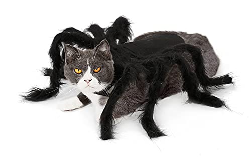 HAssy Lange Plüsch Spinne Cosplay Requisiten Foe Haustiere Halloween Kostüme Katze Hund Spinne Cosplay Kostüm Halloween Haustier Kleider Film Requisiten von HAssy