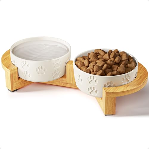 Keramik Hundenäpfe mit Ständer - Kleines Hundenapf-Set mit Ständer rutschfest - 2 Keramikschalen mit rutschfestem Bambusständer für kleine Hunde - Erhöhte Hundenäpfe 2er Set - Erhöhte Futterstation Keramik Hundenäpfe mit Ständer - Kleines Hundenapf-Set mit Ständer rutschfest - 2 Keramikschalen mit rutschfestem Bambusständer für kleine Hunde - Erhöhte Hundenäpfe 2er Set - Erhöhte Futterstation von HB Design Co.