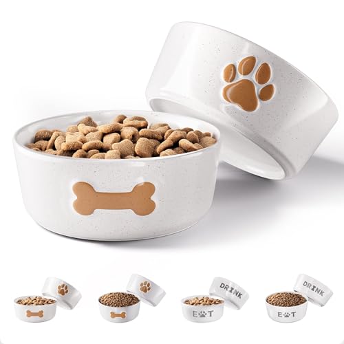 Keramik-Hundenapf mit rutschfester Unterseite, 12,7 cm breit x 5,1 cm hoch, Keramik-Hundenäpfe für kleine Hunde, 2 Tassen, Futter- und Wassernäpfe für Hunde, Gummi-Unterseite, 2 Stück, für kleine Keramik-Hundenapf mit rutschfester Unterseite, 12,7 cm breit x 5,1 cm hoch, Keramik-Hundenäpfe für kleine Hunde, 2 Tassen, Futter- und Wassernäpfe für Hunde, Gummi-Unterseite, 2 Stück, für kleine von HB Design Co.