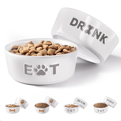 Keramik-Hundenapf mit rutschfester Unterseite, 12,7 cm breit x 5,1 cm hoch, Keramik-Hundenäpfe für kleine Hunde, 2 Tassen, Futter- und Wassernäpfe für Hunde, Gummi-Unterseite, 2 Stück, für kleine Keramik-Hundenapf mit rutschfester Unterseite, 12,7 cm breit x 5,1 cm hoch, Keramik-Hundenäpfe für kleine Hunde, 2 Tassen, Futter- und Wassernäpfe für Hunde, Gummi-Unterseite, 2 Stück, für kleine von HB Design Co.