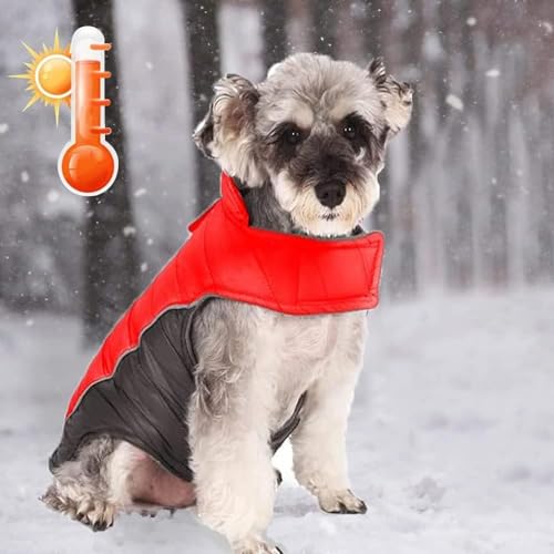 Hunde-Fleecejacke Winter, Hundemäntel klein, Jacke Hundemantel, Hundejacken Hund Kaltwettermantel, wasserdicht winddicht warme Hundeweste, Hund Wintermantel für kleine mittelgroße Hunde (XS, von HBJSP