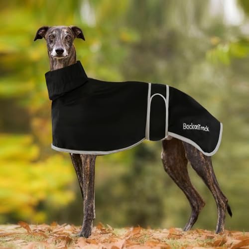 Windhunde-Regenmantel, leicht, wasserdicht, Windhundemäntel, wasserdicht, Whippet-Regenmantel, Windhunde, Sommer, Winter, Hundemäntel für Lurcher für mittelgroße und große Hunde (S, Schwarz) Windhunde-Regenmantel, leicht, wasserdicht, Windhundemäntel, wasserdicht, Whippet-Regenmantel, Windhunde, Sommer, Winter, Hundemäntel für Lurcher für mittelgroße und große Hunde (S, Schwarz) von HBJSP