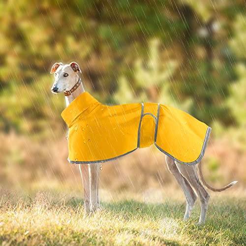 HBJSP Windhunde-Regenmantel, leicht, wasserdicht, Windhundemäntel, wasserdicht, Whippet-Regenmantel, Windhunde, Sommer, Winter, Hundemäntel für Lurcher für mittelgroße und große Hunde (S, Gelb) HBJSP Windhunde-Regenmantel, leicht, wasserdicht, Windhundemäntel, wasserdicht, Whippet-Regenmantel, Windhunde, Sommer, Winter, Hundemäntel für Lurcher für mittelgroße und große Hunde (S, Gelb) von HBJSP
