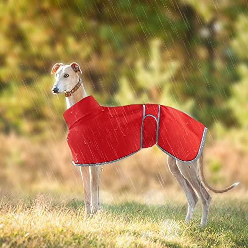 HBJSP Windhunde-Regenmantel, leicht, wasserdicht, Windhundemäntel, wasserdicht, Whippet-Regenmantel, Windhunde, Sommer, Winter, Hundemäntel für Lurcher für mittelgroße und große Hunde (Größe XL, Rot) HBJSP Windhunde-Regenmantel, leicht, wasserdicht, Windhundemäntel, wasserdicht, Whippet-Regenmantel, Windhunde, Sommer, Winter, Hundemäntel für Lurcher für mittelgroße und große Hunde (Größe XL, Rot) von HBJSP