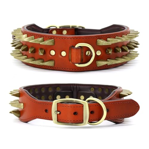 2 Zoll breites Hundehalsband aus Leder, strapazierfähiges Haustierhalsband(Blue 2,L) von HBJzxlOK