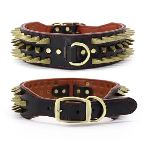 2 Zoll breites Hundehalsband aus Leder, strapazierfähiges Haustierhalsband(Noir,XL) von HBJzxlOK