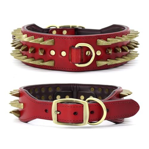 2 Zoll breites Hundehalsband aus Leder, strapazierfähiges Haustierhalsband(Red 2,L) von HBJzxlOK