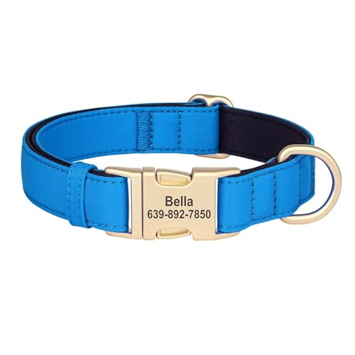 Anti verloren personalisierte Hundehalsband wasserdichte Hund Schnalle Kragen gepolstert ID Halskette(Blue,M) von HBJzxlOK