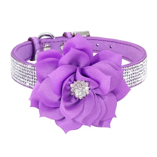 Glitter Strass Hund Leder Kragen Blume Halskette Pet 120cm Walking Leine(Black 4,M) von HBJzxlOK