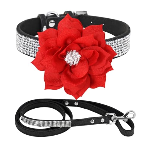 Glitter Strass Hund Leder Kragen Blume Halskette Pet 120cm Walking Leine(Black Set,S) von HBJzxlOK