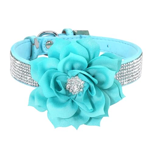 Glitter Strass Hund Leder Kragen Blume Halskette Pet 120cm Walking Leine(Blue,M) von HBJzxlOK