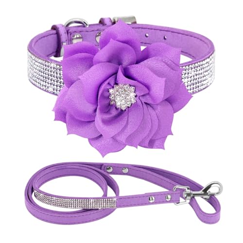 Glitter Strass Hund Leder Kragen Blume Halskette Pet 120cm Walking Leine(Purple Set,L) von HBJzxlOK