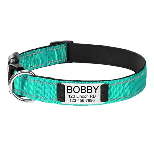 Gravierte Namens-ID-Tag Reflektierendes Hundehalsband Benutzerdefiniertes Nylon Personalisiert(Green 2,S 25-38cm) von HBJzxlOK