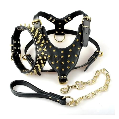 Großes Hunde-Haustier-Gold-Nieten-Leder-Geschirr-Halsband-Leine-Set(XL) von HBJzxlOK