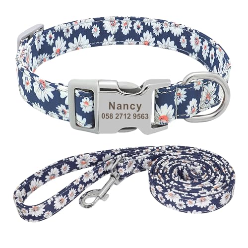 Hundehalsband Leine Personalisiert Benutzerdefiniertes Nylon Hundehalsband Leine Name ID Tag Halsband(Blue 5 Set,M) von HBJzxlOK