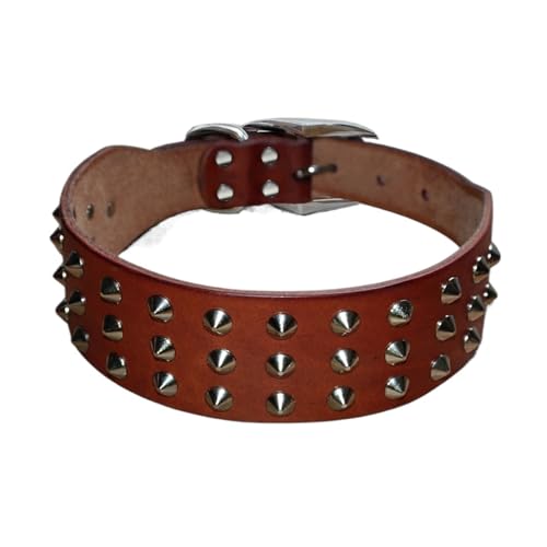 Hundehalsband Leder Verstellbares Haustierhalsband mit Spikes(Blue 2,L) von HBJzxlOK