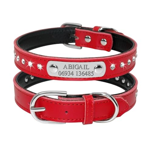 Hundehalsband aus Leder, verstellbar, gepolstert, Strass, personalisierbar, Hunde-ID-Halsband, Gravur(Red 2,M) von HBJzxlOK