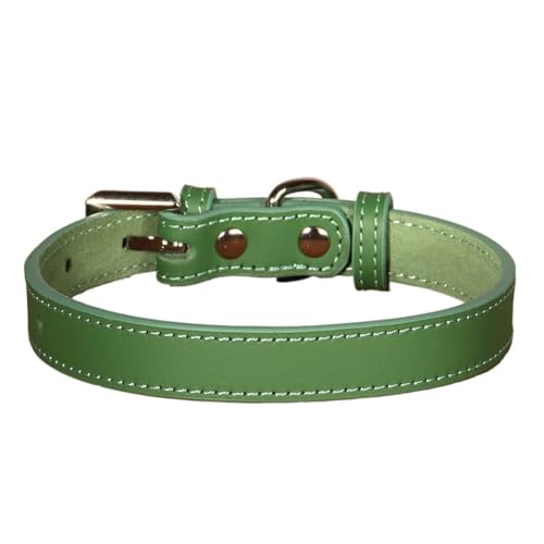 Hundehalsband aus echtem Leder, weiches Leder, für Welpen und Katzen, verstellbar, Halskette für kleine Hunde(Green 2,M) von HBJzxlOK