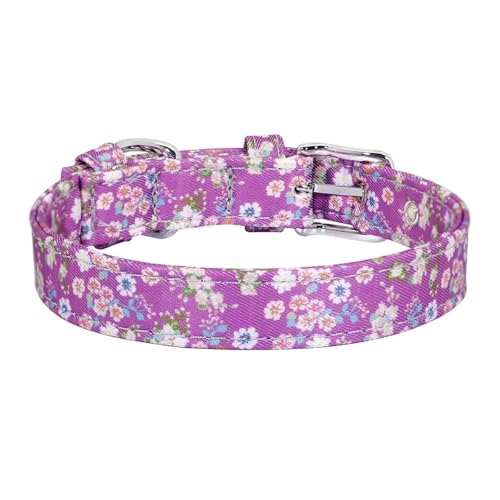Hundehalsband mit Blumenmuster, Nylon, Blumenmuster, für kleine Hunde und Katzen, verstellbar(Black 4,S) Hundehalsband mit Blumenmuster, Nylon, Blumenmuster, für kleine Hunde und Katzen, verstellbar(Black 4,S) von HBJzxlOK
