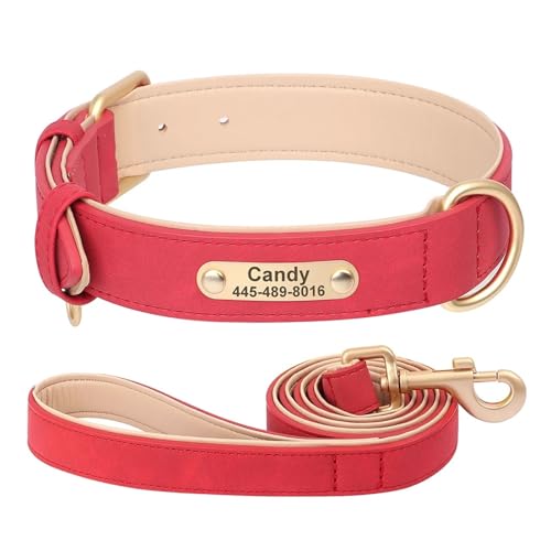 Hundehalsband mit individueller Gravur und Leine, weiches PU-Leder-Hundehalsband und Leine, personalisiertes Hunde-ID-Halsband(Red 2,M) von HBJzxlOK