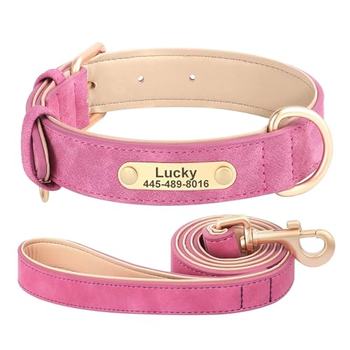 Hundehalsband mit individueller Gravur und Leine, weiches PU-Leder-Hundehalsband und Leine, personalisiertes Hunde-ID-Halsband(Rose,XL) von HBJzxlOK