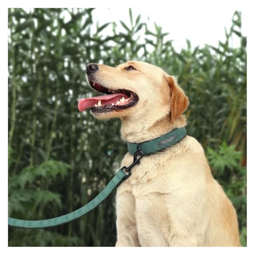 Individuelle Hundehalsbänder und -leinen aus Leder Personalisierte Hundehalsbänder und -leinen-Sets Lederhalsbänder und -leinen(Green Set,M) von HBJzxlOK