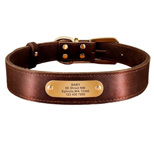 Hundehalsband-Leine-Set aus echtem Leder, personalisierbares Haustierhalsband(Brown Collar,2XS) von HBJzxlOK