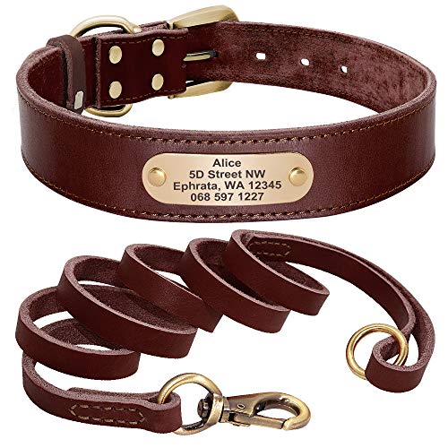 Hundehalsband-Leine-Set aus echtem Leder, personalisierbares Haustierhalsband(Brown Collar Leash,XS) von HBJzxlOK