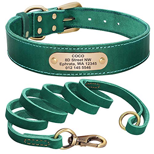 Hundehalsband-Leine-Set aus echtem Leder, personalisierbares Haustierhalsband(Green Collar Leash,M) von HBJzxlOK