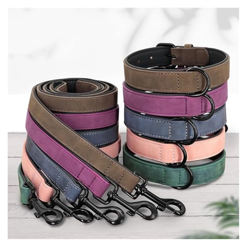 Hundehalsband und Leine Set Gepolstertes Hundehalsband Langlebige Hundeleine(Red 5,M) von HBJzxlOK