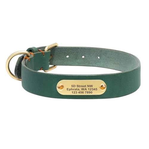 Individuelle Hundehalsbänder Langlebige, personalisierte Hundehalsbänder Gravierte Halsbänder aus echtem Leder(Green 2,XL) von HBJzxlOK