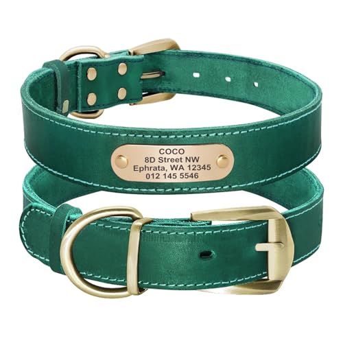 Hundehalsband aus Leder für Bulldoggen, personalisierbar, graviert, Haustier-ID-Halskette, verstellbar(Green 2,M) von HBJzxlOK