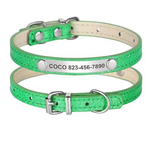Individuelles Katzenhalsband, glänzendes Lederhalsband für Katzen, personalisierte gravierte Halskette mit graviertem ID-Schild(Green 2,XS) von HBJzxlOK