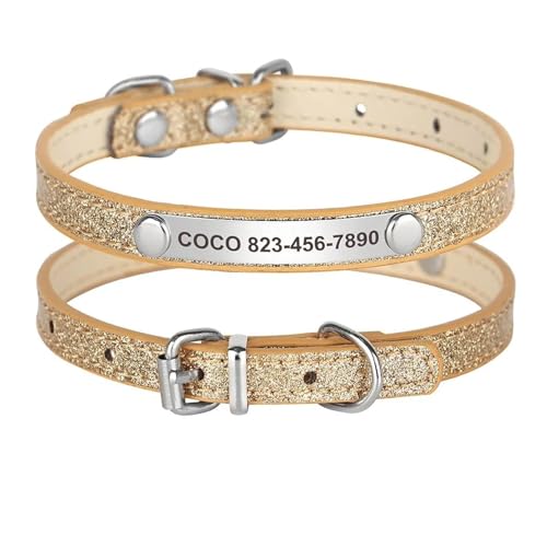 Individuelles Katzenhalsband, glänzendes Lederhalsband für Katzen, personalisierte gravierte Halskette mit graviertem ID-Schild(Red 2,XS) von HBJzxlOK