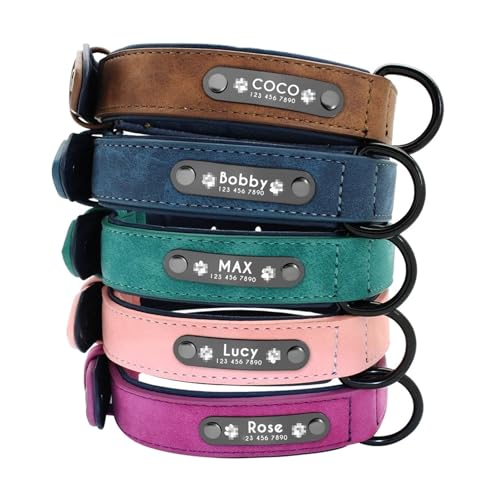 Leder Hundehalsband Leine Set personalisierte weiche Hundehalsband Leine Polsterung(Plum,L) von HBJzxlOK
