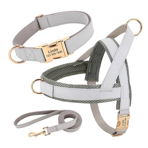 Hundehalsband aus Leder, Hundegeschirr, Hundeleine, Hundeleine, Hundeleine, Hundeleine, Hundeleine, Hundeleine, Hundeleine, Hundeleine(3 Gray Set,S) von HBJzxlOK