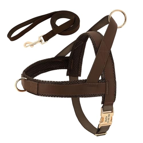 Hundehalsband aus Leder, Hundegeschirr, Hundeleine, Hundeleine, Hundeleine, Hundeleine, Hundeleine, Hundeleine, Hundeleine, Hundeleine(Brown Set,S) von HBJzxlOK