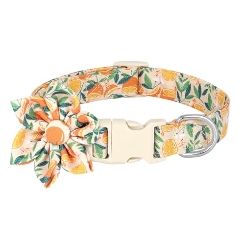 Hundehalsband mit Schmetterlingsmotiv, leichtes Haustierhalsband aus Nylon, Hundehalsband mit Blumenmuster und Schnalle, verstellbar(Black 2,M) von HBJzxlOK