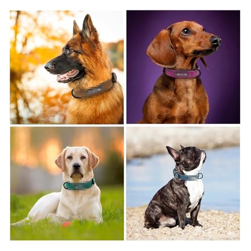 Personalisierte Hundehalsbänder Benutzerdefiniertes Hundehalsband aus Leder Gefütterte Haustier-ID-Halsbänder(Black 4,XXL) von HBJzxlOK